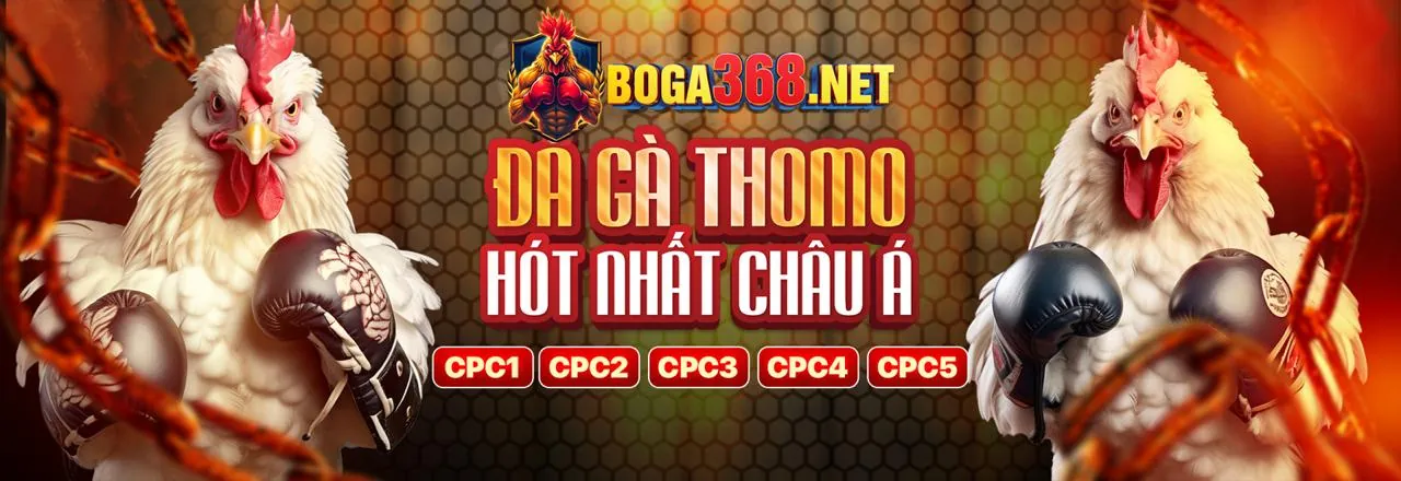 Giới thiệu về 8XBET: Đăng ký 8xbet ngay hôm nay để trải nghiệm cá cược trực tuyến đỉnh cao